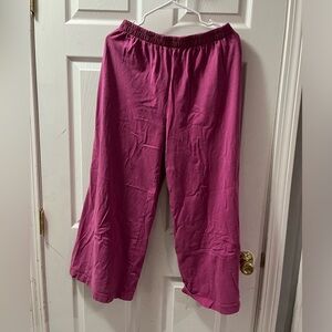 Hot Pink Z Supply Wide Leg pants